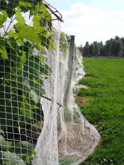 Tbest filet contre les oiseaux Filet en nylon de protection de légumes  d'arbre de filet anti-oiseau noir pour le verger de ferme de